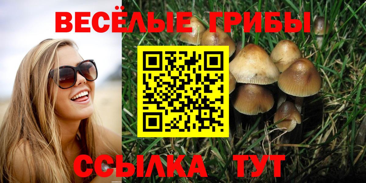 Железногорск  Галлюциногенные грибы MAGIC MUSHROOMS  Вход с VPN 